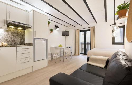 El Born Apartamento | Ola Living Born