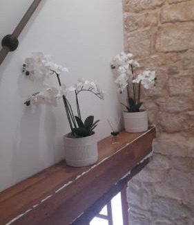 Sinj Apartamento | Old house 2