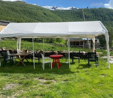 Ushguli Casa | Old Tower Guesthouse - kafe ushguli