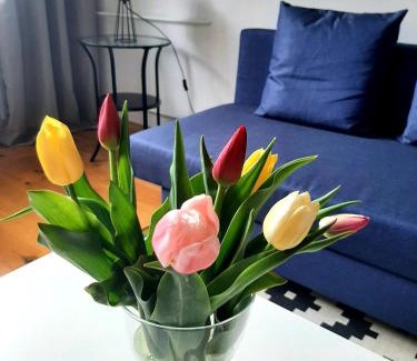 Malbork Apartamento | Old Town Apartment