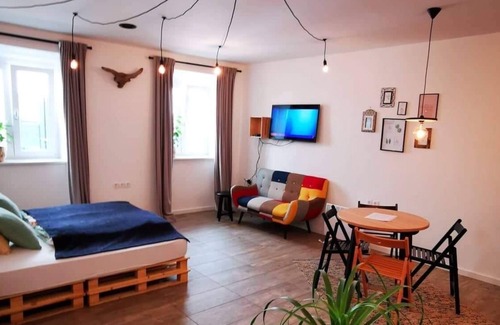 Ljubljana Old Town Apartamento | Old ToWn Ljubljana Studio *Spacius/Cozy/Comfortable*