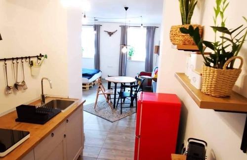 Ljubljana Old Town Apartamento | Old ToWn Ljubljana Studio *Spacius/Cozy/Comfortable*