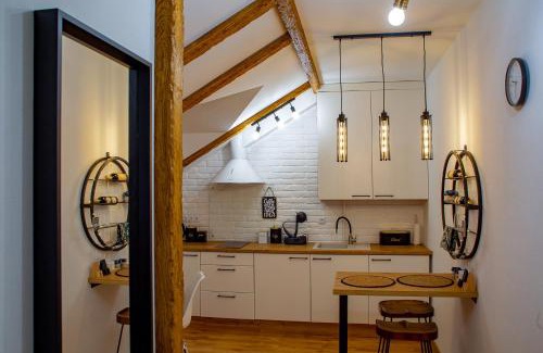 Kamenets-Podol'skiy Apartamento | Old Town Loft Apartments