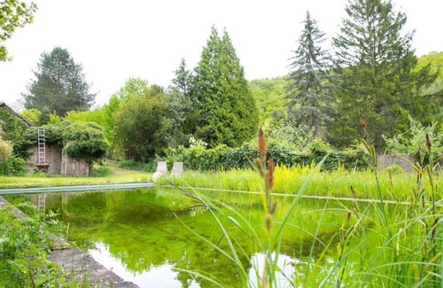 Meisenheim Apartamento | Old Villa Meisenheim - 4-bed apartment