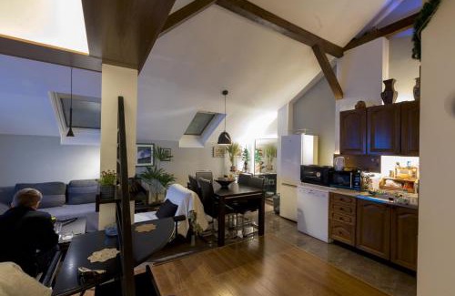 Dorcol Apartamento | Oldest House Belgrade center