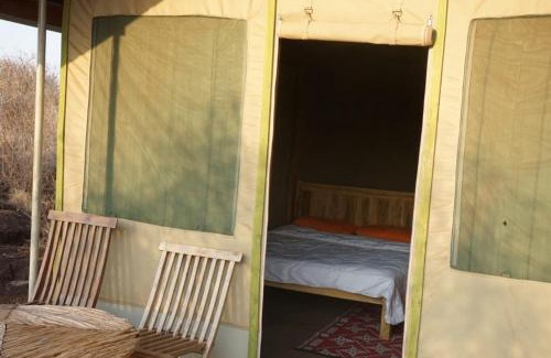 Kajiado County Otro | Oldonyo Musa Camp Amboseli