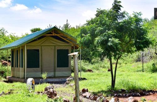Kajiado County Otro | Oldonyo Musa Camp Amboseli