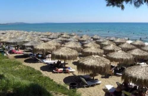 Kourouta Casa | Olga's Garden Home - Douneika