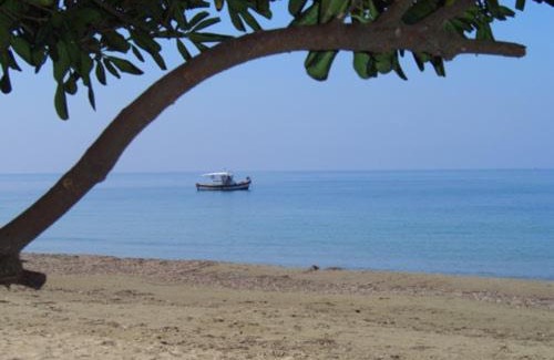 Kourouta Casa | Olga's Garden Home - Douneika