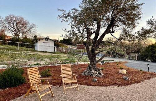Templeton Casa | Olive and Stone