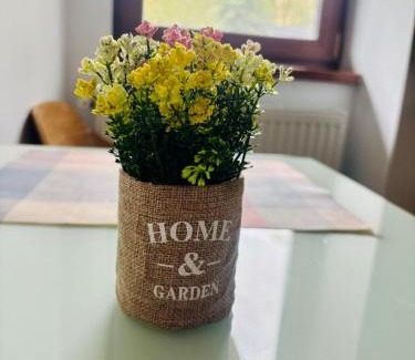 Nord-Est Apartamento | Olive Apartament 4