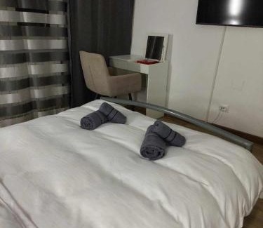 Lupeni Apartamento | Olive Apartment