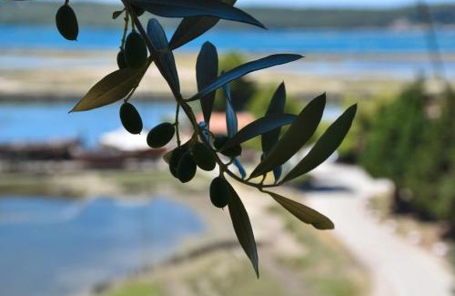Seca Apartamento | OLIVE GARDEN & SEA Apartments