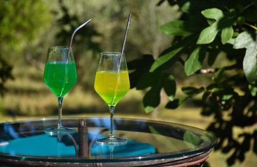 Seca Apartamento | OLIVE GARDEN & SEA Apartments