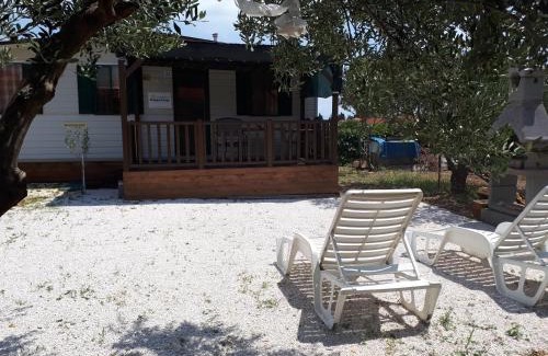 Trogir Complejo | Olive garden Trogir - mobil home