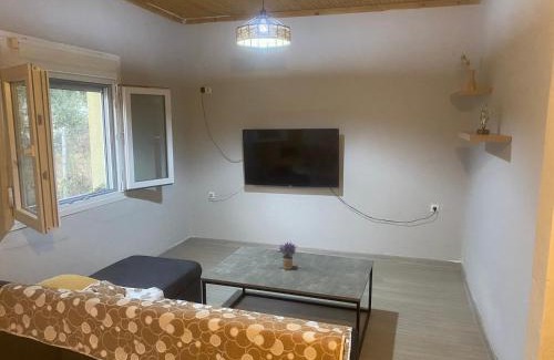 Skala Sotiros Casa | Olive Green House