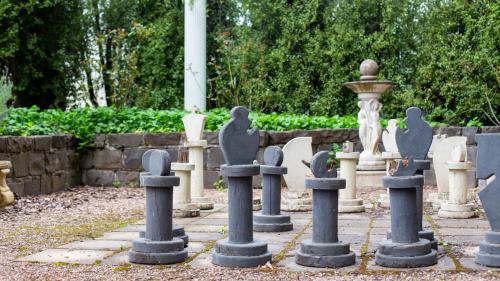 Musk Casa | Olive Grove