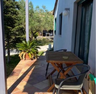 Metochi Casa | Olive Grove