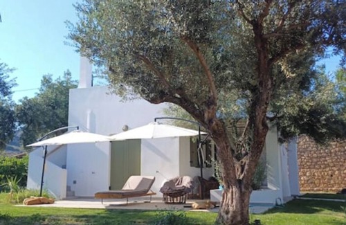Skiros Villa | OLIVE GROVE VILLA SKYROS ISLAND