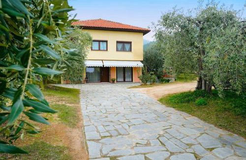 Skala Rachoniou Casa | Olive's House