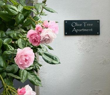 Hove Apartamento | Olive Tree Apartment Hove