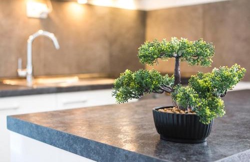 Stobrec Apartamento | Olive Tree Apartments