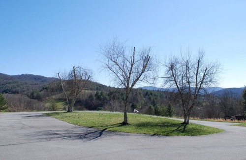 Mountain City Casa | Olive Leaf Cottage 3BR
