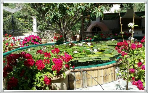 Kantanos-Selino Casa | Olive tree Cottages