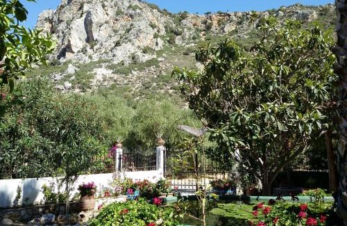 Kantanos-Selino Casa | Olive tree Cottages