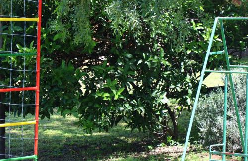 Magaliesberg Cama Y Desayuno | Olive Tree Farm