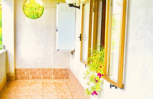 Torchiara Apartamento | Olive tree room in the hills between orchards and olive groves between the sea and the National Park
