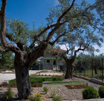 Vourvourou Apartamento | Olivegrove House