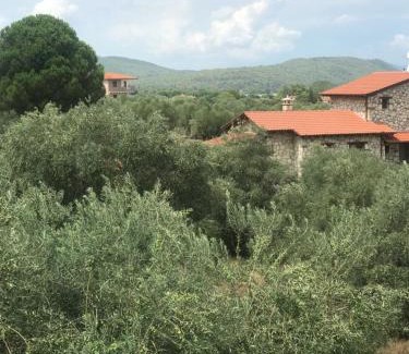 Vourvourou Apartamento | Olivegrove House