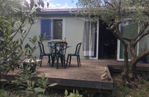 Corconne Casa | OLIVER