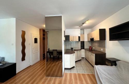 Oliwa Apartamento | Olivka STUDIO i PARKING