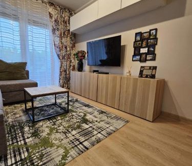 Czestochowa Apartamento | Oliwkowy - stylowy Apartament w naturalnym klimacie