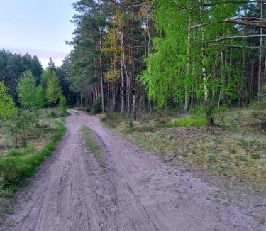 Goniadz Casa | Olszówka
