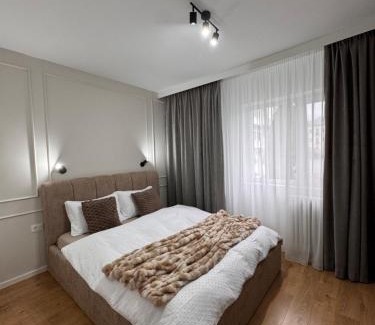 Calimanesti Apartamento | Olt view apartament
