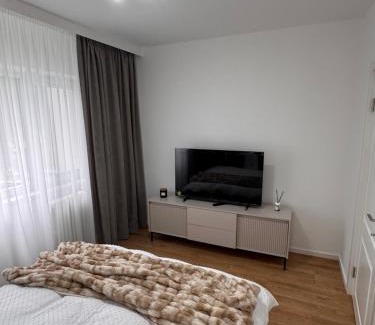 Calimanesti Apartamento | Olt view apartament