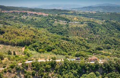 Riparbella Casa | Oltremare
