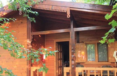 Olympos Hotel | Olympos Paradise Hotel