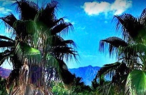 Olympos Hotel | Olympos Paradise Hotel