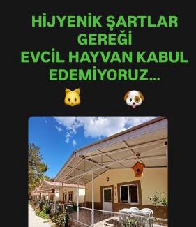 Olympos Apartamento | OLYMPOS YÖRÜK OTAĞI APART EVLERİ