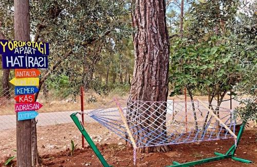 Olympos Apartamento | OLYMPOS YÖRÜK OTAĞI APART EVLERİ