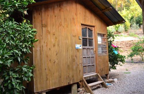 Olympos Complejo | Olympos Yakamoz Pansiyon