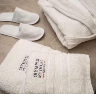 Skotina Apartamento | Olympus Mythical Resort