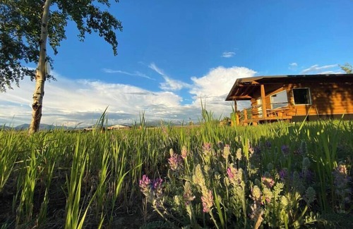 Whitehorse Cabina | Oma and Opa's Northern Lights Cabin