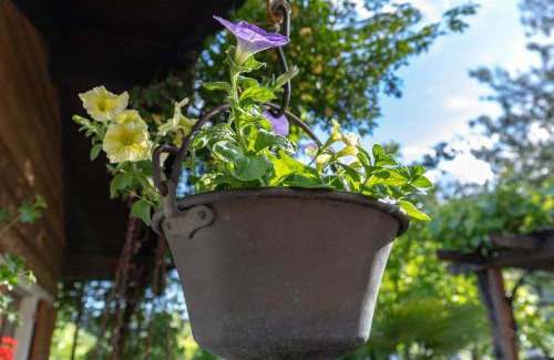 Vadena Apartamento | On the River