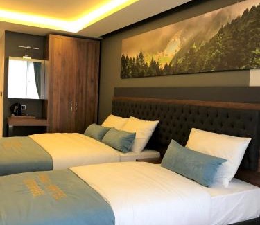 Uzungol Casa | Onal Motel