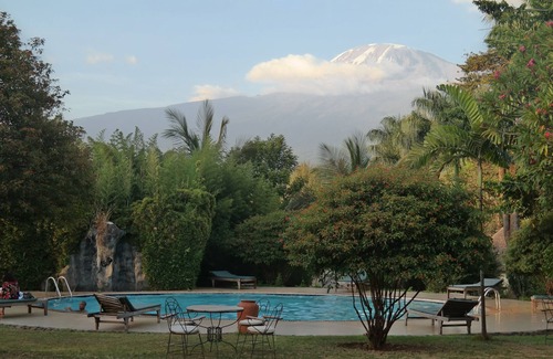 Moshi Cabina | Érase una vez en Kilimanjaro .......